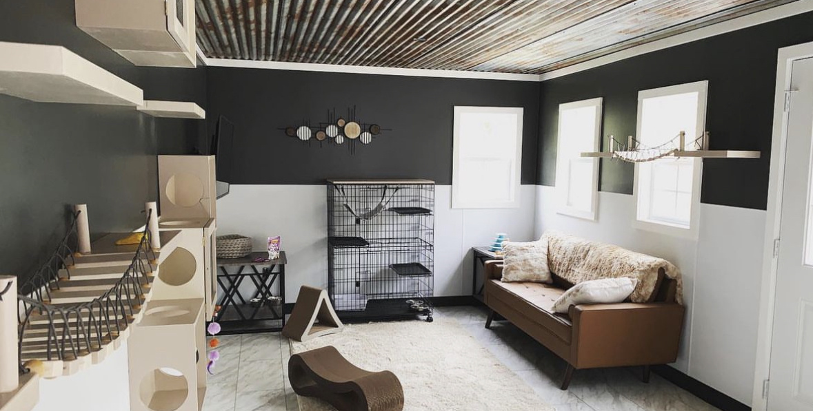 3D renders from a Twindo scan